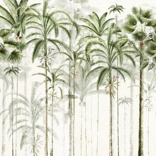 The Tallest Tree Wallpaper