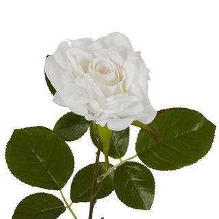 Eliza Soft Touch Rose 80cm White