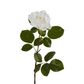 Eliza Soft Touch Rose 80cm White