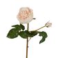 Cabbage Real Touch Rose Stem 49cm Blush