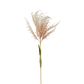 Natural Pampas Spray Stem with Leaves