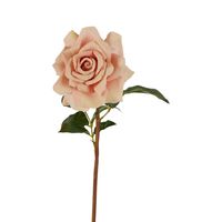 Rose True Touch 50cm Blush