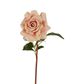 Rose True Touch 50cm Blush