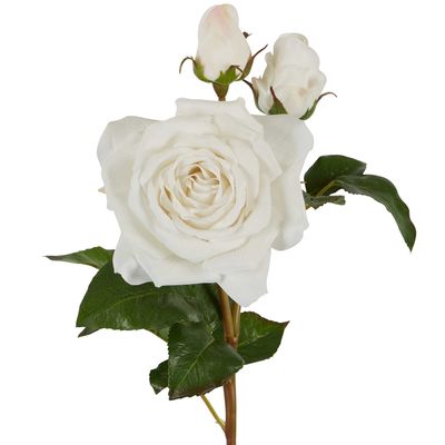 Olivia Bud Real Touch Rose Stem 53cm White