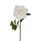 Stella Real Touch Rose Stem 50cm White