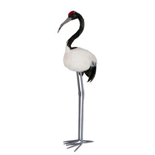 Red Crowned Crane Large