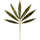 Palmeto Leaf Stem