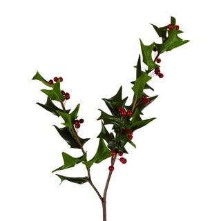 PRE-ORDER Holly Stem With Berries