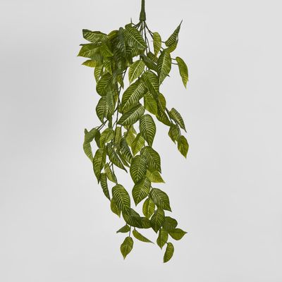 Zebra Hanging Bush 95cm