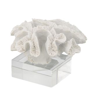 Maldives Coral with Glass Base White