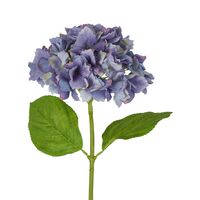 Hydrangea Stem Soft Touch 50cm Blue