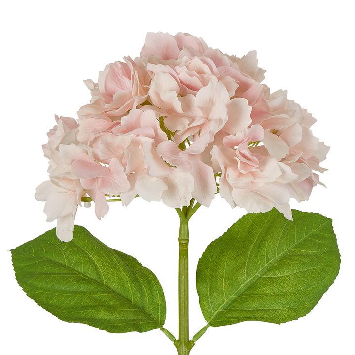 Hydrangea Stem Soft Touch 50cm  Pink