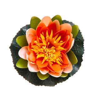 Floating Waterlily 11cm Peach