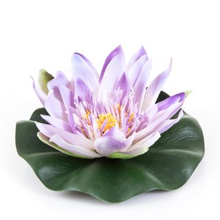 Floating Waterlily 20cm Lilac