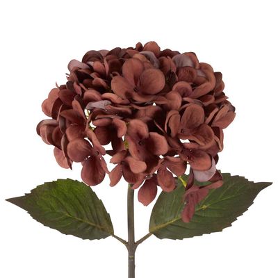 Dried Look Hydrangea Stem 48cm Brown