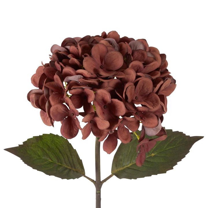 Dried Look Hydrangea Stem 48cm Brown