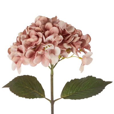 Dried Look Hydrangea Stem 48cm Blush