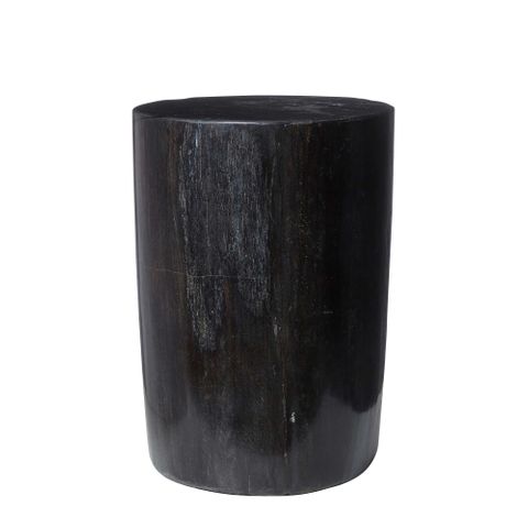 Binga Petrified Wood Table Black