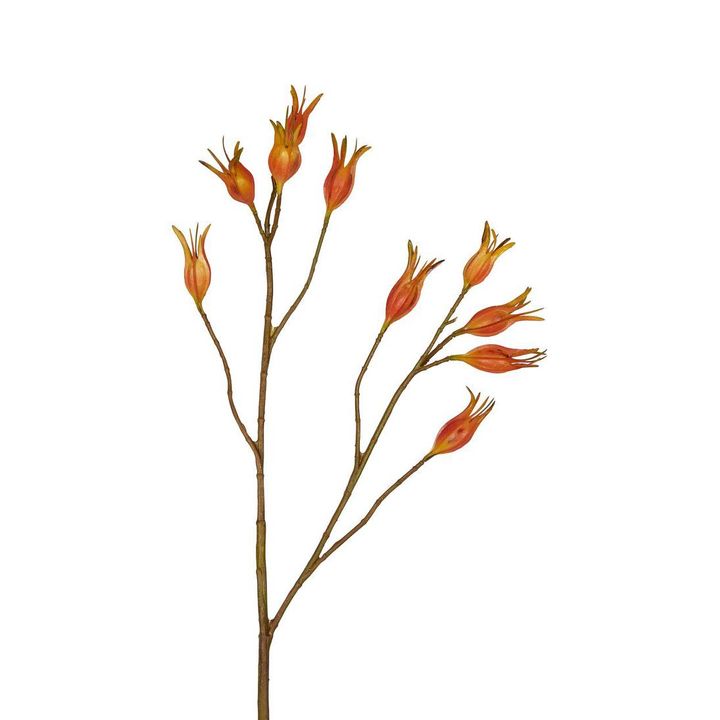 Gardenia Berry Tropical Spray 80cm Orange