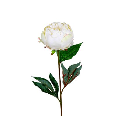 Peony Half Open 70cm White