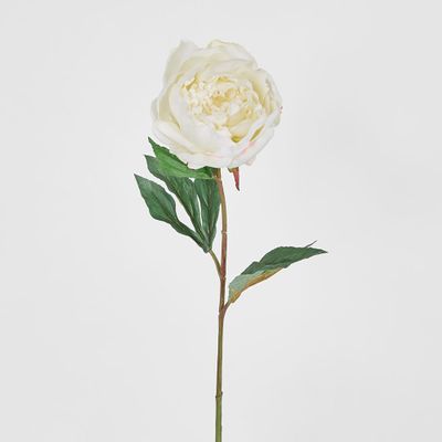 Peony Half Open 70cm White