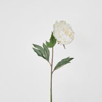Peony Half Open 70cm White