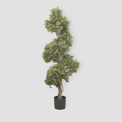 Boxwood Spiral Tree 1.4m