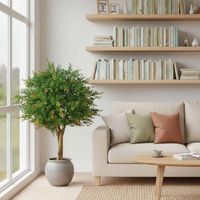 Red Day Leaf Ball Tree 85cm