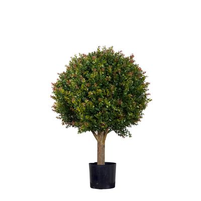 Red Day Leaf Ball Tree 85cm