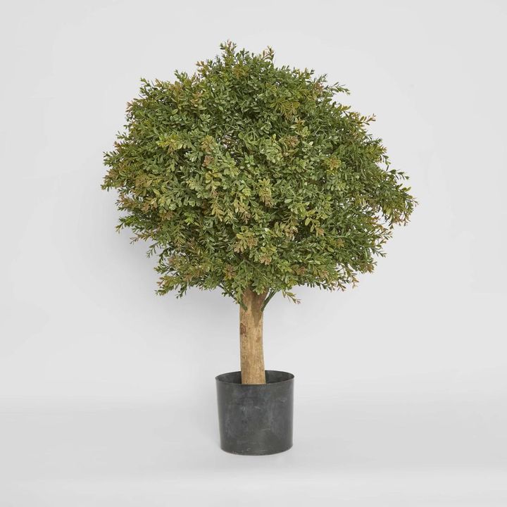 Red Day Leaf Ball Tree 85cm