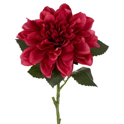 Giant Dahlia Stem 70cm Dark Pink