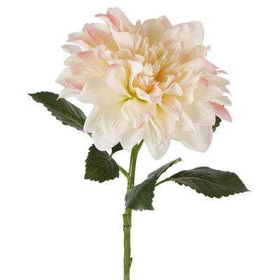 Giant Dahlia Stem 70cm Ice Pink