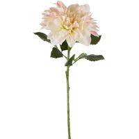 Giant Dahlia Stem 70cm Ice Pink