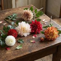 Giant Dahlia Stem 70cm Pink