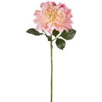 Giant Dahlia Stem 70cm Pink