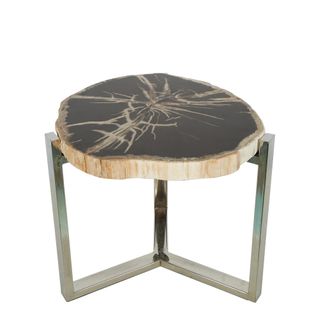 Niagra Petrified Wood Table
