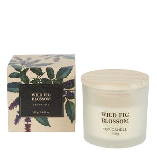 Wild Fig Blossom Soy Candle 250g
