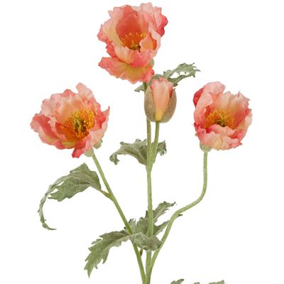 Poppy Stem 82cm Coral Pink