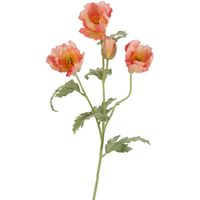 Poppy Stem 82cm Coral Pink