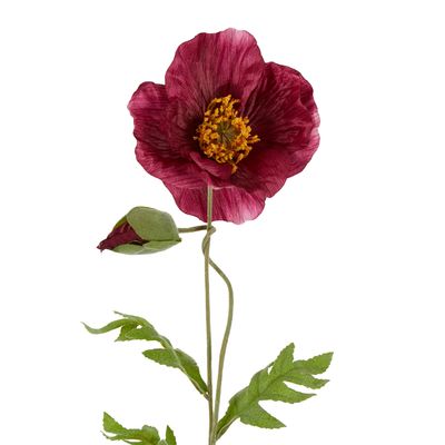 Poppy Stem 68cm Plum