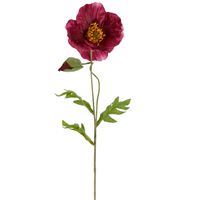 Poppy Stem 68cm Plum