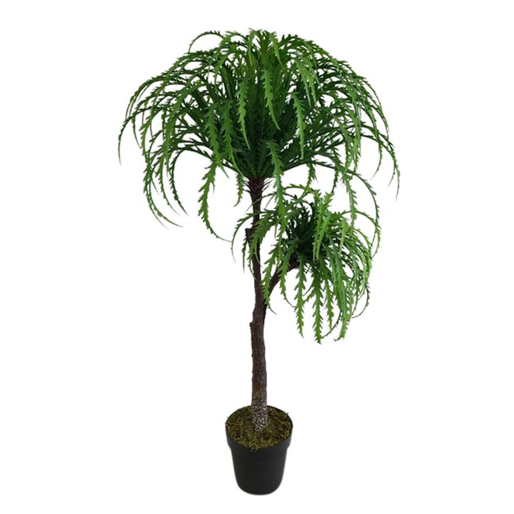 Ribbon Fern Tree In Black Pot 135cm