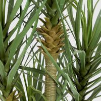 Yucca Tree In Black Pot 180cm