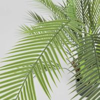 Palm Tree In Black Pot 130cm