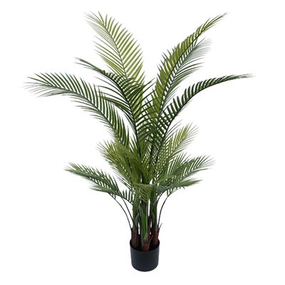 Palm Tree In Black Pot 130cm