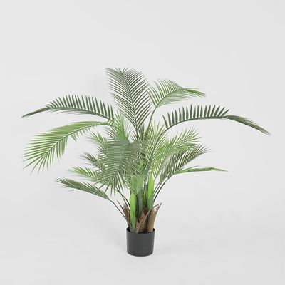 Palm Tree In Black Pot 130cm