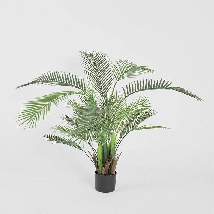 Palm Tree In Black Pot 130cm
