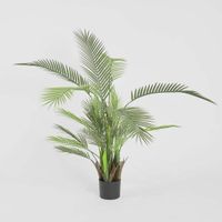 Palm Tree In Black Pot 130cm