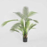 Palm Tree In Black Pot 130cm