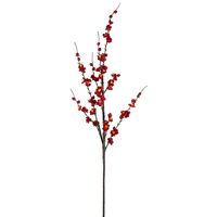 Japonica Blossom Stem 120cm Red